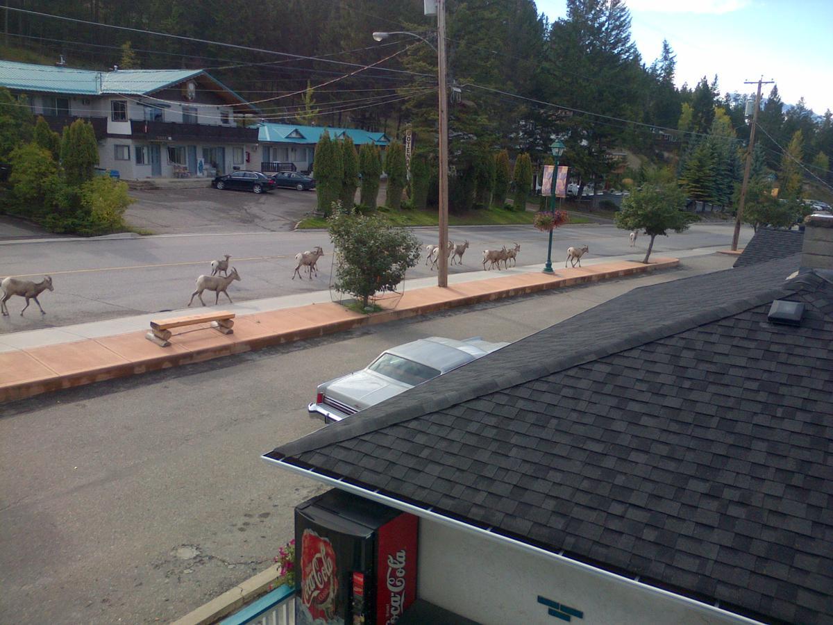 Appletree Inn Рейдиум-Хот-Спрингс Экстерьер фото